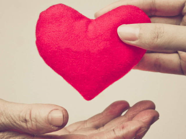 SEASONS LARGO Assisted Living Home Image in CLEARWATER, FL